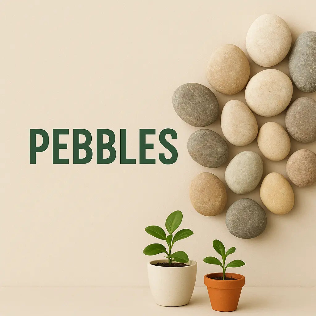 Pebbles iPlants - What is Desert? Let's make our Emirates Green.