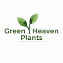 Green Heaven Plants