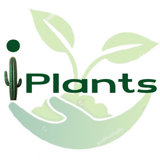 Logo with a hand holding a plant, cactus, and the word 'Plants' on a white background.